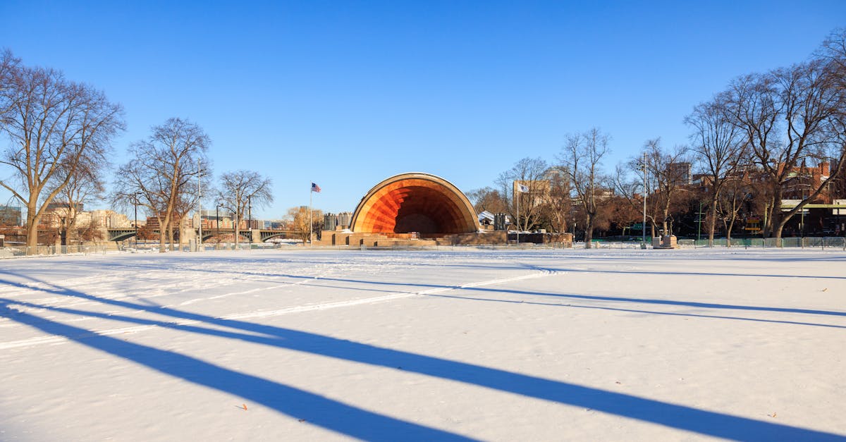 explorez les causes, les symptômes et les traitements de l'épaule gelée, une affection douloureuse qui limite les mouvements de l'épaule. apprenez à soulager l'inconfort et à retrouver votre mobilité grâce à des thérapies et des exercices efficaces.