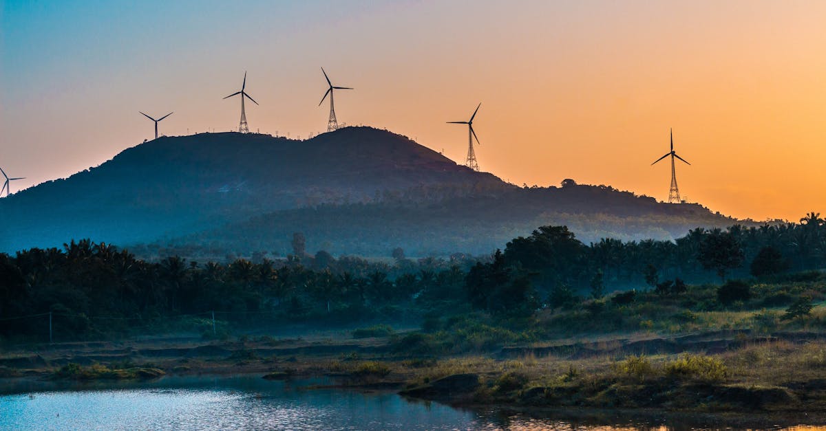 découvrez le pouvoir des solutions naturelles pour un mode de vie plus sain. explorez des remèdes, des conseils et des pratiques durables qui exploitent les dons de la nature pour améliorer votre bien-être et promouvoir le bien-être général.