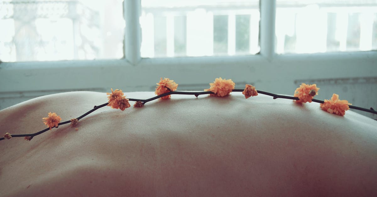 découvrez des techniques efficaces de soulagement du stress qui favorisent la relaxation et le bien-être mental. explorez des stratégies telles que la pleine conscience, l'exercice et les exercices de respiration pour vous aider à gérer l'anxiété et à améliorer votre qualité de vie.