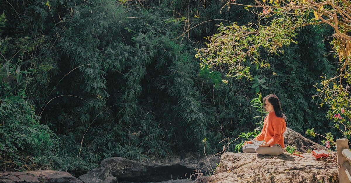 discover the transformative power of meditation with our comprehensive guides and resources. explore techniques, benefits, and tips to enhance your mindfulness practice and improve overall well-being.