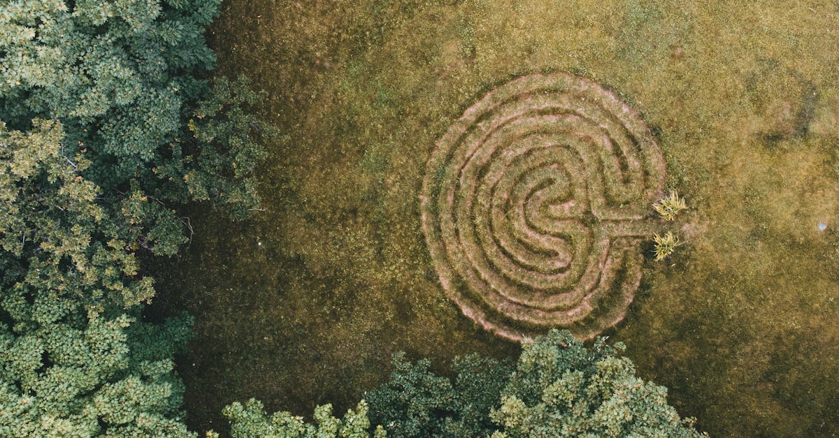 Découvrez une approche remarquable avec Pulse Align, une solution bien-être intégrant des techniques innovantes qui visent à restaurer l'équilibre et la posture naturels du corps. Grâce à des impulsions douces et imperceptibles, notre méthode facilite le recalibrage du tonus musculaire, favorisant ainsi un confort et un bien-être général accrus. Cette solution naturelle crée un environnement propice à l'épanouissement du corps et soulage les tensions musculaires et articulaires associées, améliorant ainsi l'équilibre et la stabilité fonctionnels.
