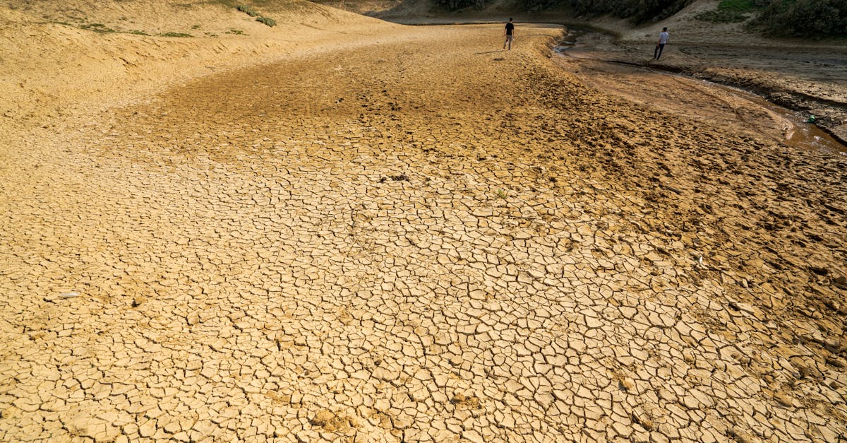discover the causes, symptoms, and effective treatments for dehydration. learn how to recognize the signs of dehydration and ensure proper hydration to maintain your health and well-being.