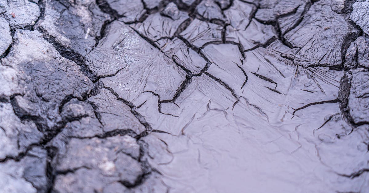 discover the effects of dehydration on your health and wellness. learn about its causes, symptoms, and prevention tips to stay hydrated and maintain optimal performance in your daily activities.