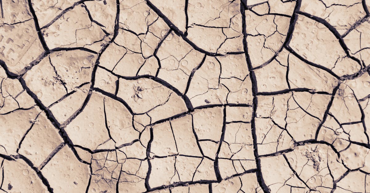 discover the causes, symptoms, and effective remedies for dehydration. learn how to stay hydrated and maintain optimal health with our comprehensive guide.