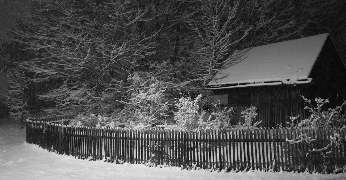 discover effective treatments and insights on frozen shoulder, a condition causing pain and stiffness in the shoulder joint. learn about symptoms, causes, and recovery tips to regain your mobility.