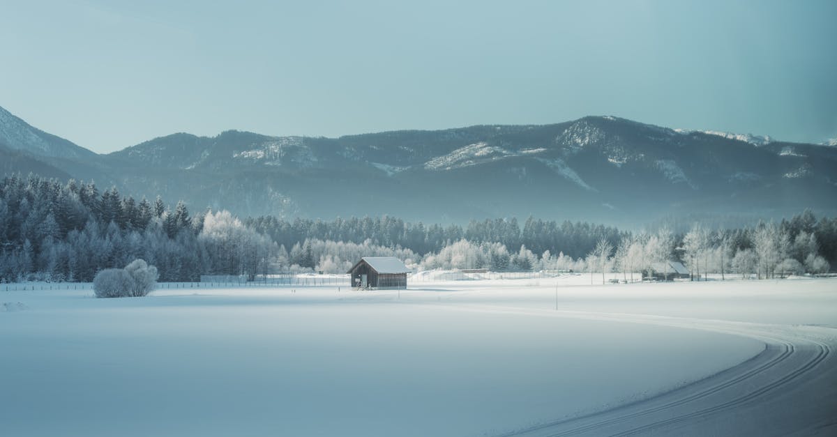 discover effective strategies and treatments for frozen shoulder, a condition characterized by stiffness and pain in the shoulder joint. learn about symptoms, causes, and recovery tips to regain mobility and comfort.