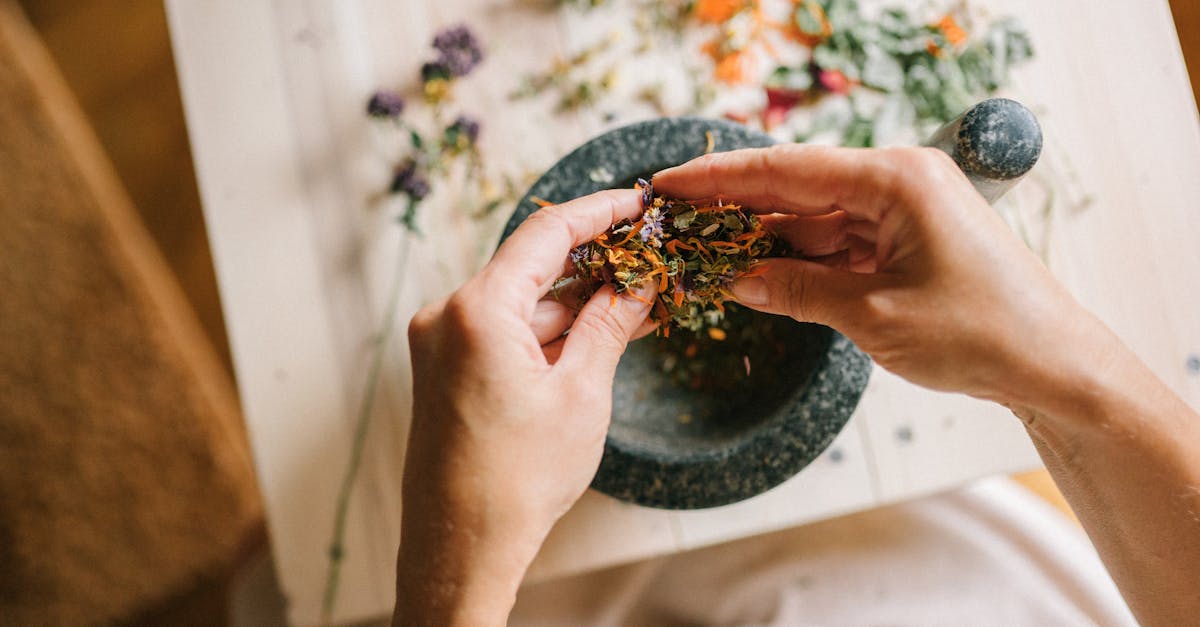 discover the power of holistic treatments for mind, body, and spirit. explore natural therapies that promote healing, balance, and well-being. find your path to a healthier life through integrated approaches that nurture the whole self.