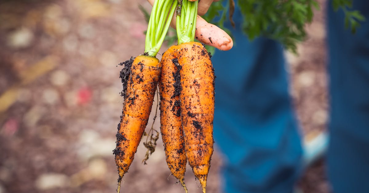 , nous pensons que des changements alimentaires, associés à des pratiques holistiques, peuvent donner les meilleurs résultats. Grâce à des techniques de stimulation douce, notre approche favorise la capacité naturelle du corps à se guérir et à se rééquilibrer. Nos clients constatent souvent une amélioration de leur posture et de leur fonctionnement général, ainsi qu'une diminution de la fréquence et de l'intensité des maux de tête.