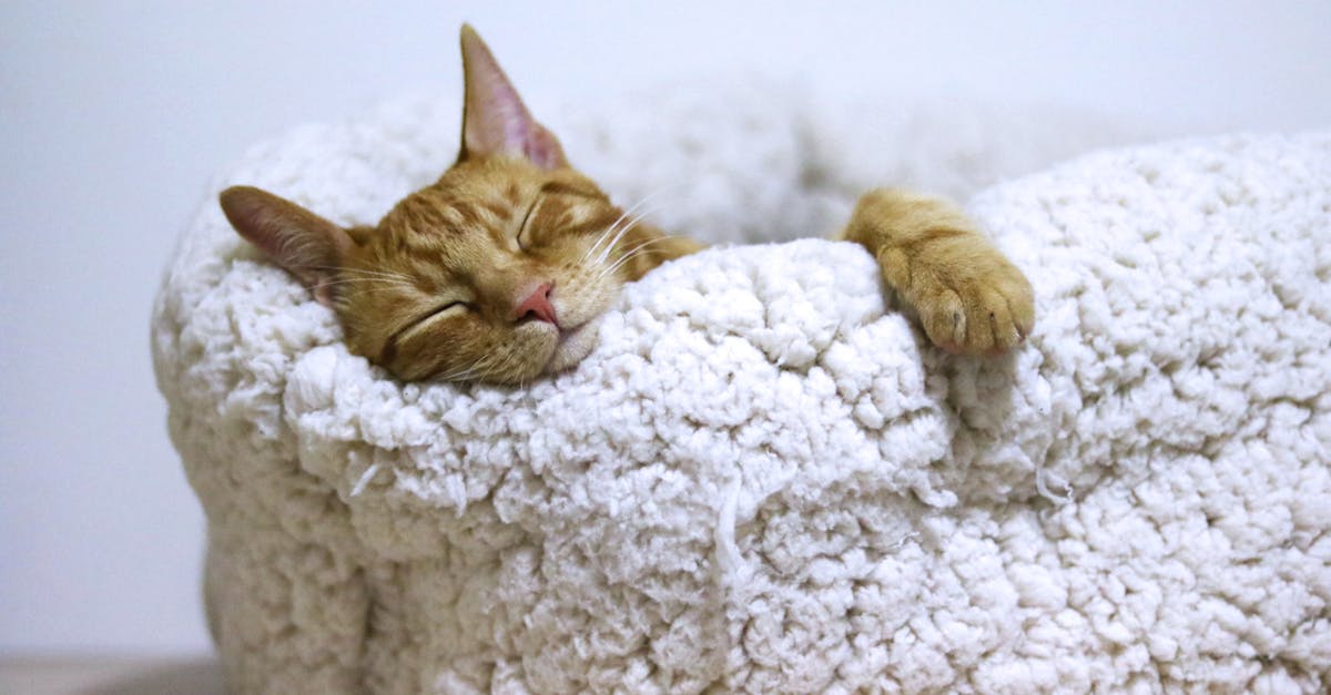 discover the importance of sleep for your health and well-being. explore tips for improving sleep quality and learn how proper rest can enhance your daily life.