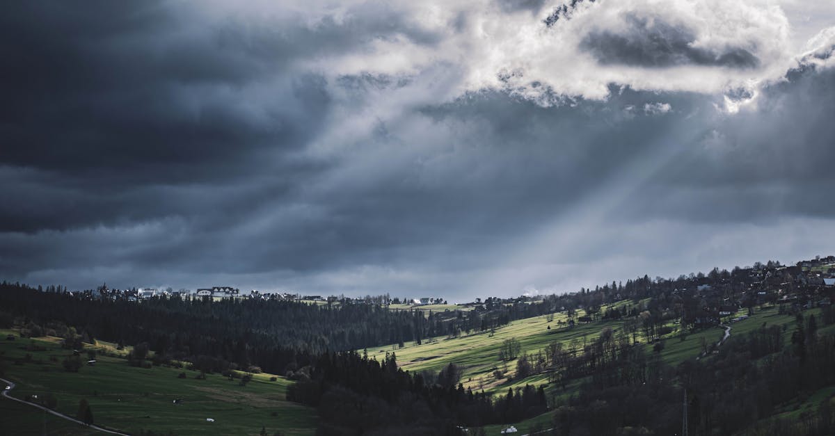 De nombreux clients ont fait des remarques positives sur leurs expériences chez Pulse Align. Une personne a noté : « J’ai remarqué une amélioration naturelle de ma posture et je me sens plus confiante dans mes mouvements quotidiens » tandis qu’une autre a mentionné : « Les méthodes douces m’ont aidé à réduire les tensions et à ressentir une sensation de calme. » Ces histoires personnelles reflètent l’impact de notre approche sur le bien-être et l’équilibre fonctionnel.