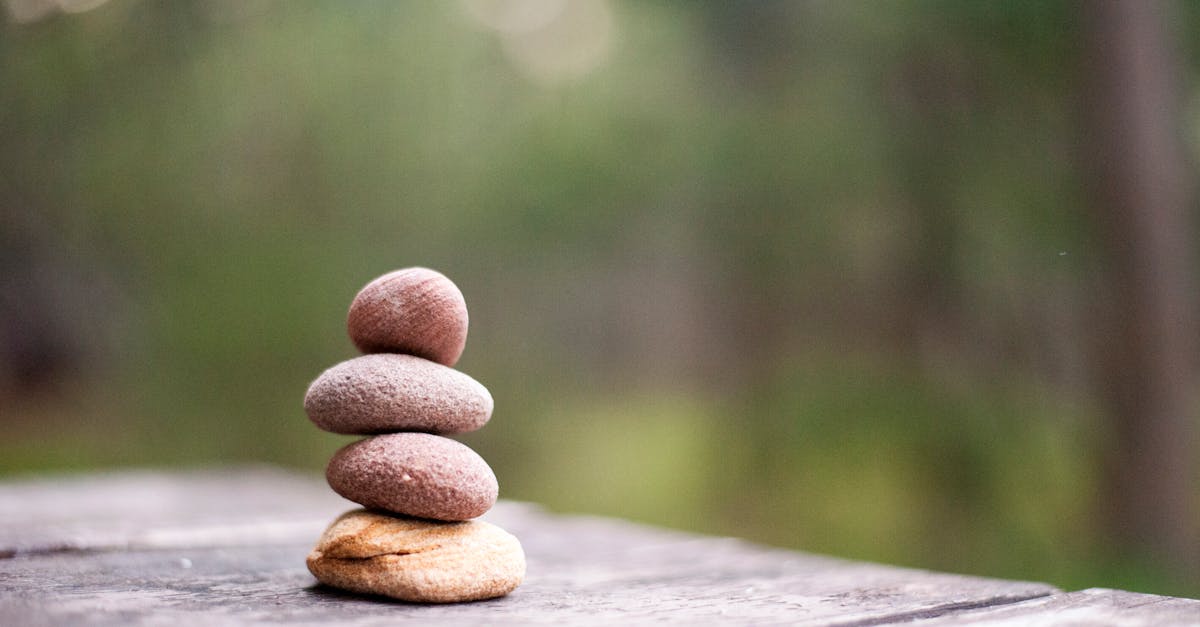 explore the serene essence of tranquility, a state of calmness and peace that rejuvenates the mind and soul. discover tips and practices to cultivate tranquility in your daily life, enhancing your well-being and fostering a balanced lifestyle.
