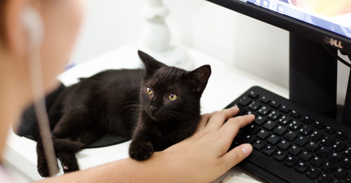 Investir dans des accessoires ergonomiques