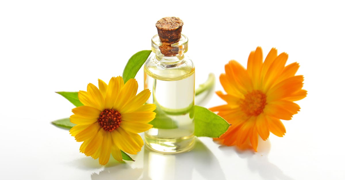 discover the benefits of essential oils for your health and well-being. explore a variety of natural scents and learn how to use them for aromatherapy, relaxation, and therapeutic purposes. enhance your life with the power of nature.