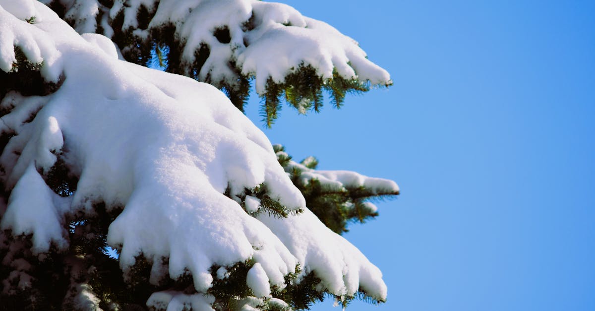 explore the causes, symptoms, and treatment options for frozen shoulder, a condition that can lead to pain and limited mobility. discover effective therapies to regain your range of motion and enhance your quality of life.