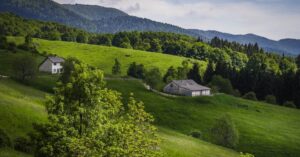 explore the principles of holistic living that promote balance and well-being in all aspects of life. discover how holistic practices can enhance your physical, mental, and spiritual health, leading to a more harmonious lifestyle.
