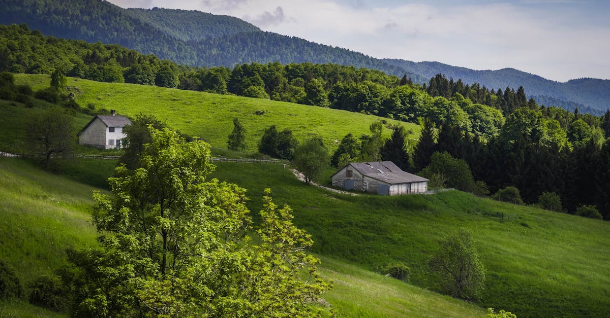 explore the principles of holistic living that promote balance and well-being in all aspects of life. discover how holistic practices can enhance your physical, mental, and spiritual health, leading to a more harmonious lifestyle.