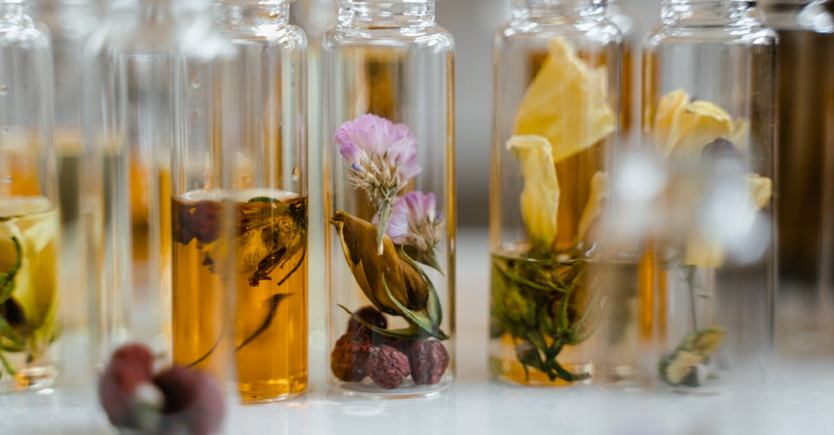 discover the power of holistic living with our comprehensive guide. explore natural healing, wellness practices, and balanced lifestyle tips to enhance your mind, body, and spirit.