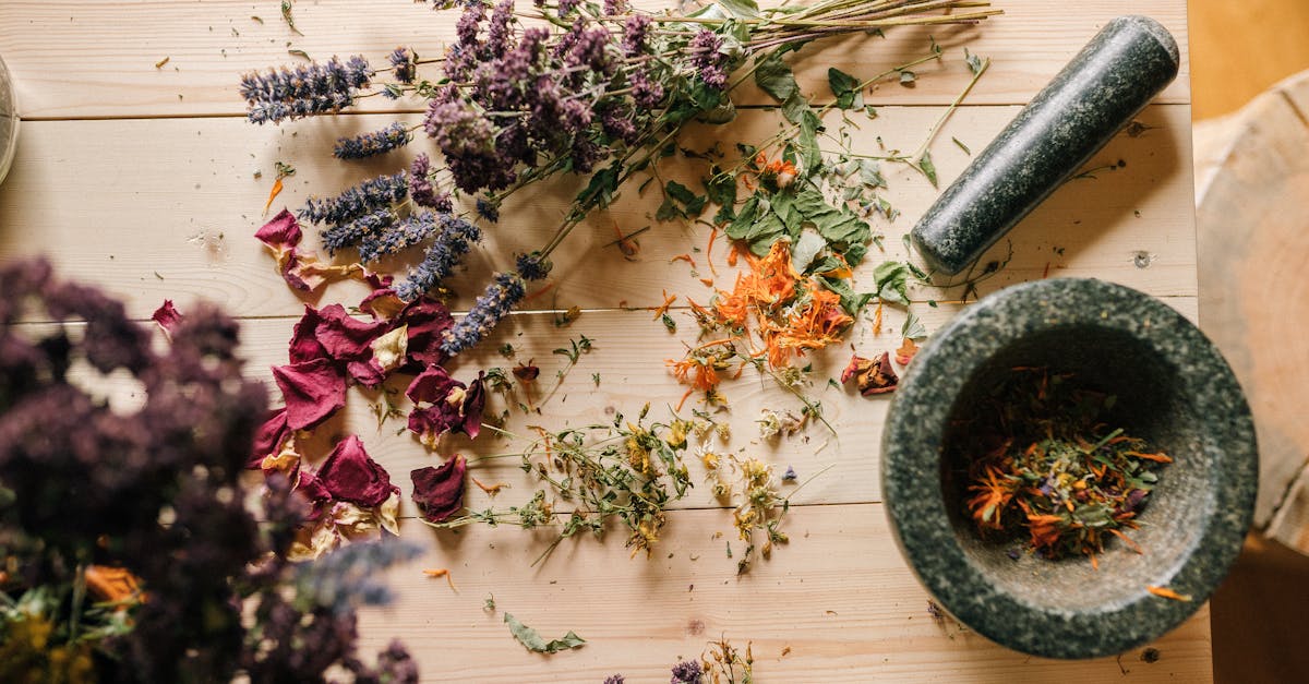 discover the power of natural remedies for enhancing your well-being and promoting holistic healing. explore effective herbal solutions and home remedies that support your health naturally.