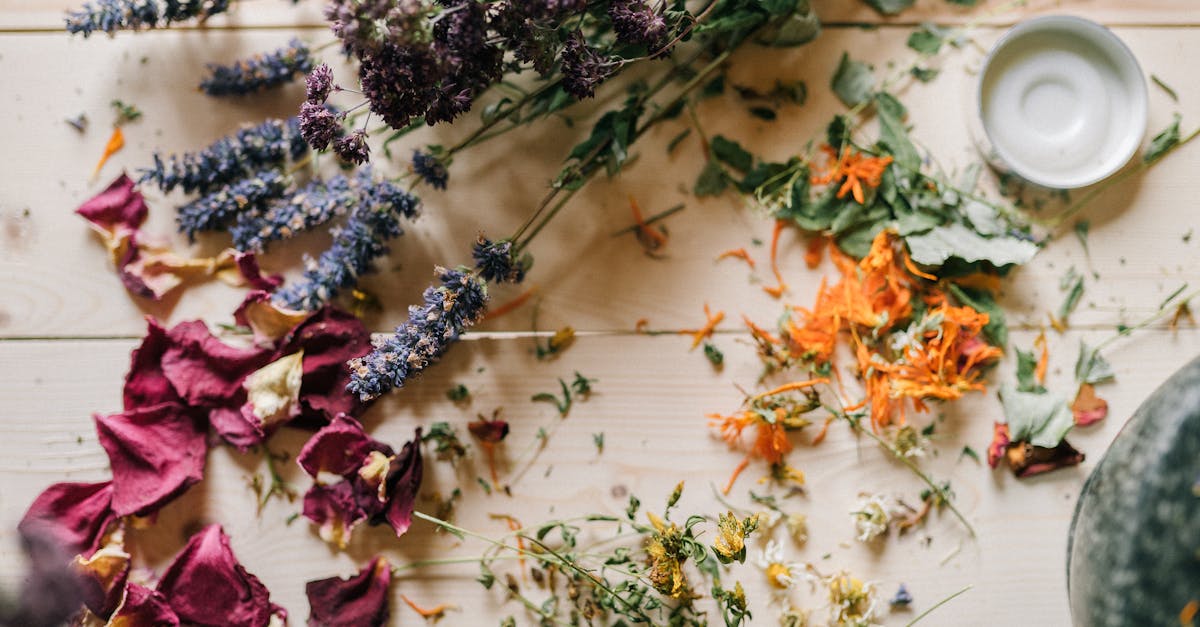 explore the world of natural remedies to enhance your well-being and promote healing. discover safe and effective herbal treatments, essential oils, and holistic practices that harness the power of nature.