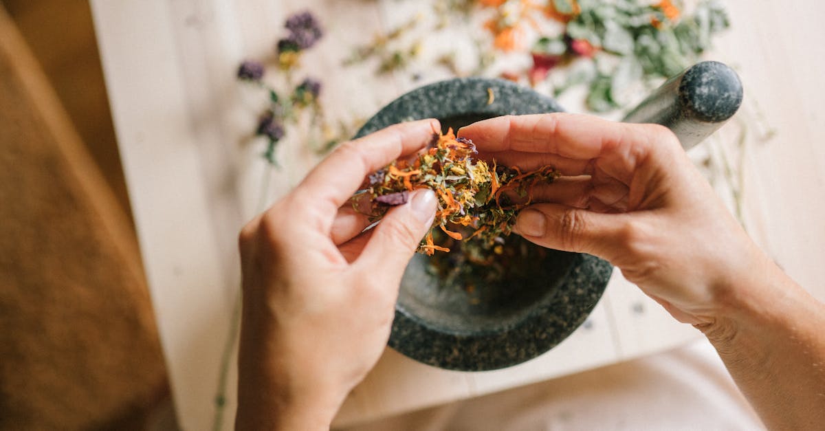 discover the power of natural remedies to enhance your well-being. explore effective herbal treatments, homeopathies, and holistic approaches to health. embrace nature's solutions for a healthier, balanced lifestyle.