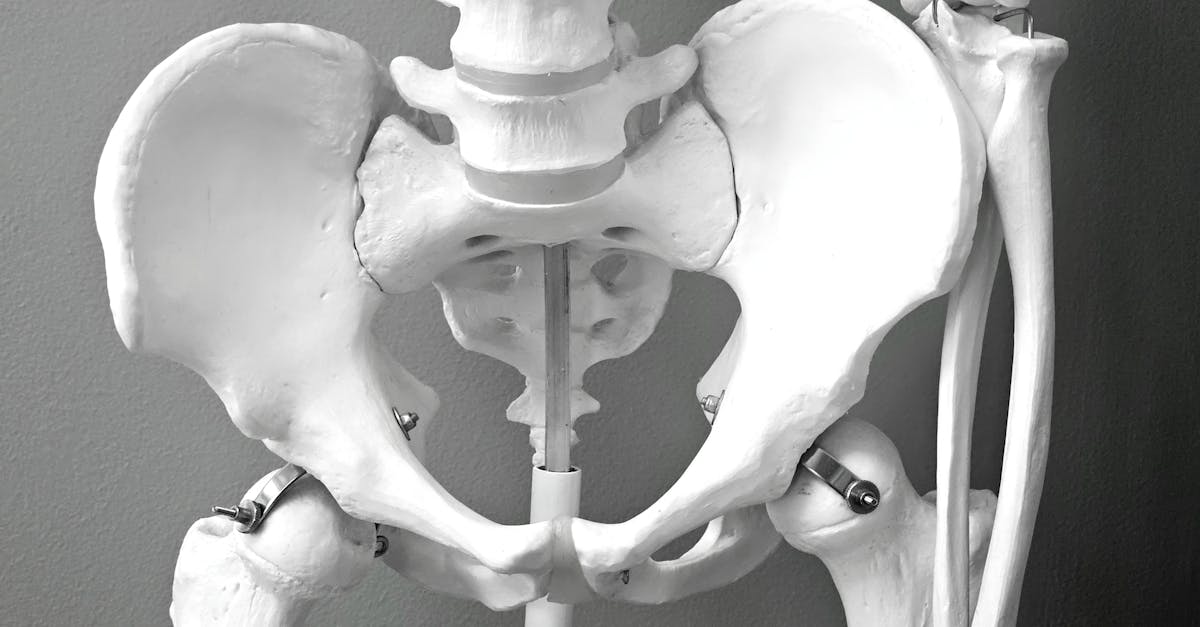 discover the benefits of pelvic tilts for improving core strength, enhancing flexibility, and relieving lower back pain. learn effective techniques and tips to incorporate pelvic tilts into your fitness routine for better posture and overall wellness.