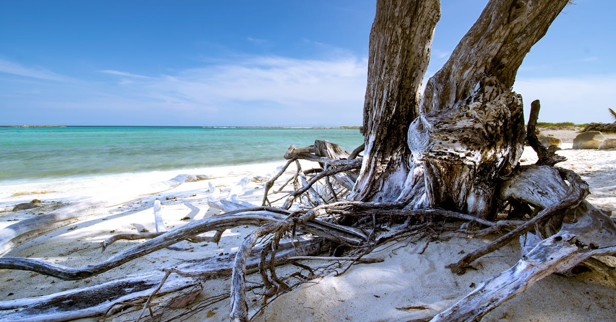 discover effective stress relief techniques to improve your mental well-being. explore relaxation methods, breathing exercises, and mindfulness practices that can help you manage stress and enhance your overall quality of life.