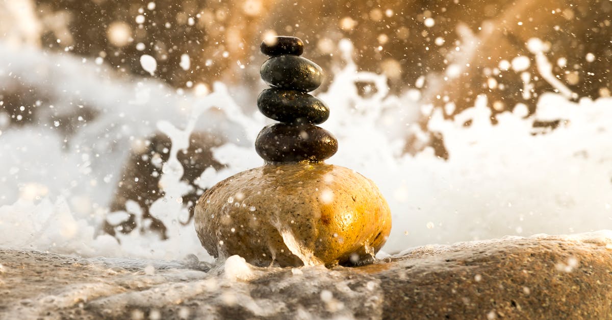 discover the concept of balance, exploring its significance in various aspects of life, from physical well-being to emotional harmony, and learn how to achieve it through practical tips and insights.