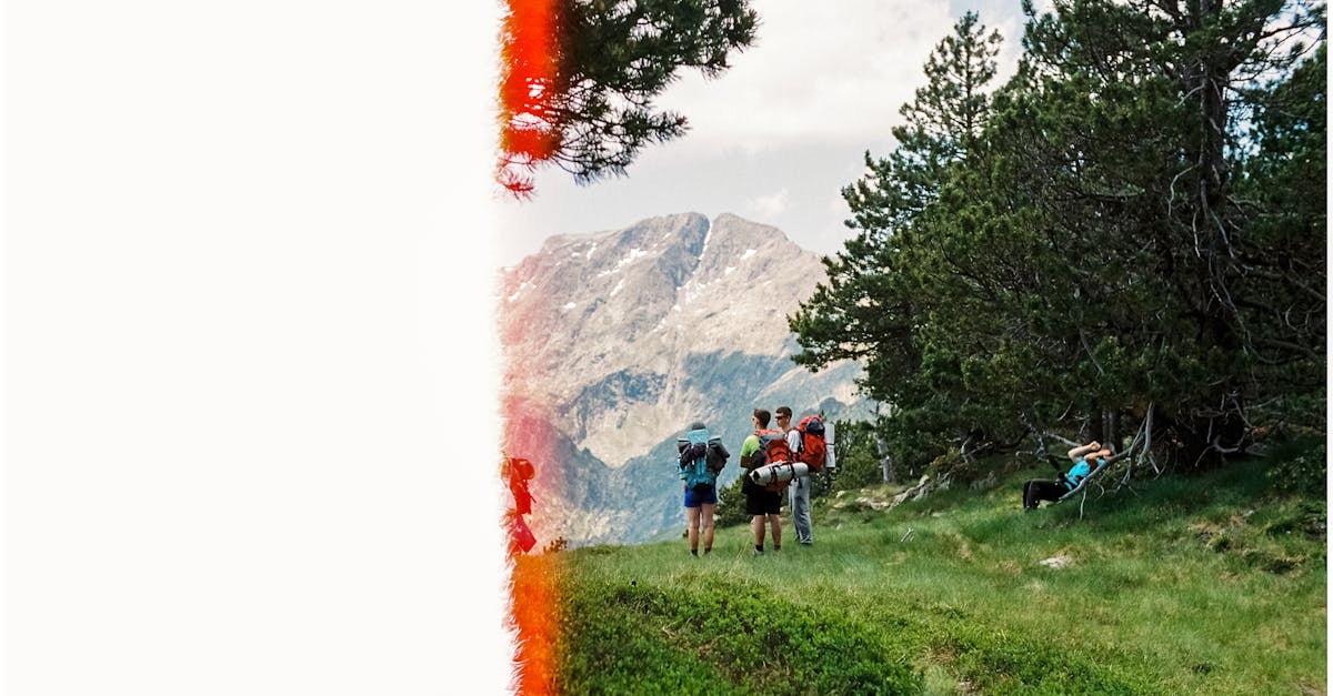 discover the ultimate comfort and support with our ergonomic backpack. designed to reduce strain on your back and shoulders, this stylish and functional backpack is perfect for daily commutes, travel, or outdoor adventures. experience unparalleled convenience and organization with multiple compartments and adjustable straps, making it the ideal choice for anyone seeking practicality without compromising on style.