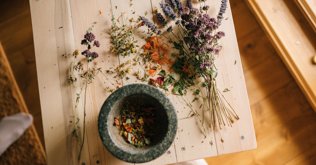 discover effective and natural home remedies to treat common ailments and enhance your well-being. unlock the secrets of traditional healing with easy-to-follow recipes and tips for a healthier lifestyle.