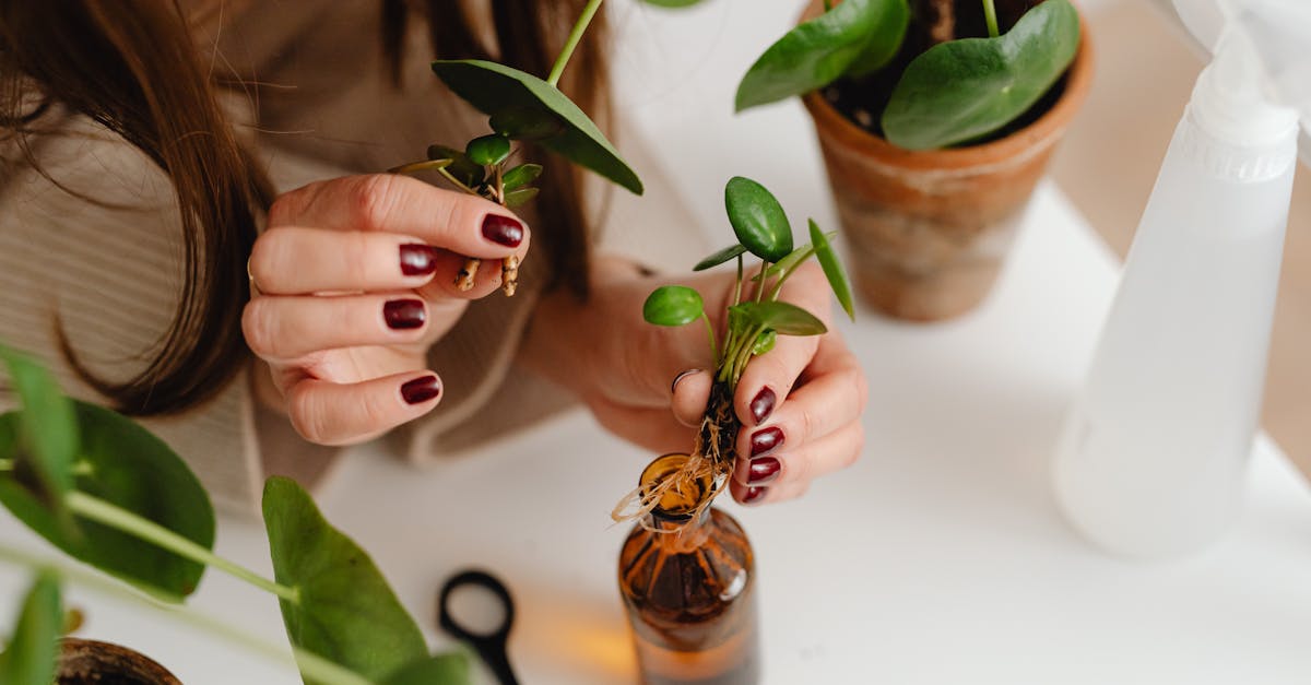 explore the causes and effects of hormonal imbalances, including symptoms, treatment options, and lifestyle changes to restore balance and improve overall health.