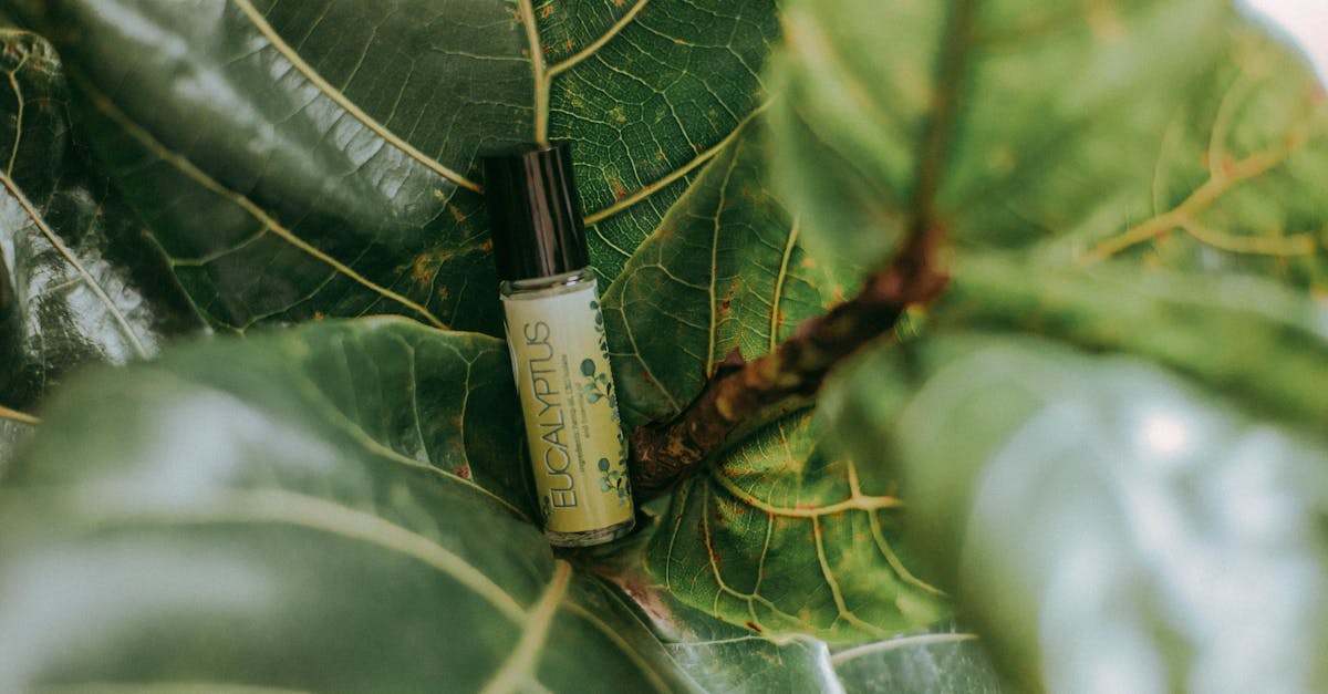 discover effective natural remedies for common ailments and enhance your well-being with holistic solutions. explore the benefits of nature's ingredients in your health journey.