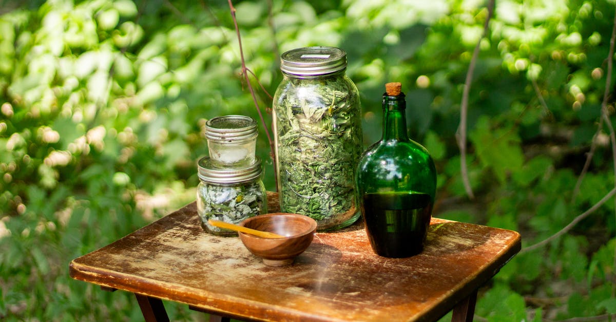 discover the power of holistic remedies to enhance your well-being. explore natural treatments, herbal solutions, and holistic practices that promote balance and harmony in your life.