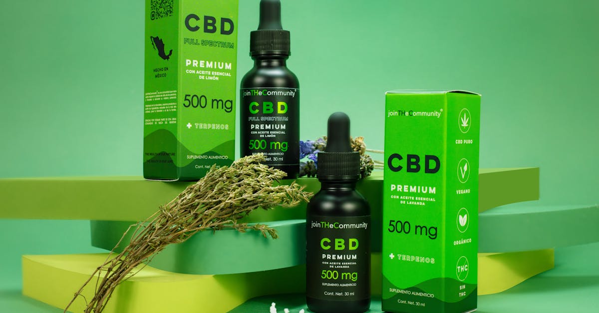 discover the power of holistic remedies to enhance your well-being. explore natural solutions that nurture the body, mind, and spirit for a balanced and healthy lifestyle.