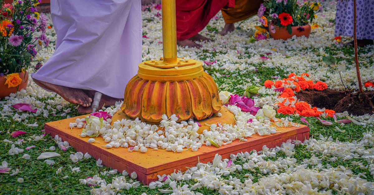 discover the power of holistic recalibration to restore balance in mind, body, and spirit. explore natural methods for achieving optimal well-being and harmony in every aspect of your life.